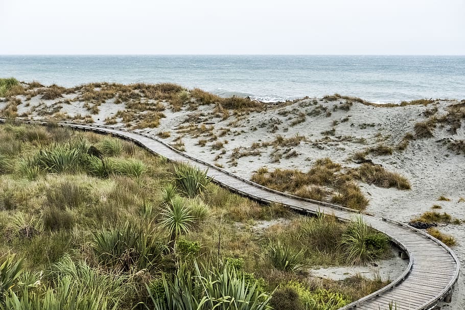 Road Leading to Ocean, beach, landscape, sand, scenic, sea, seashore HD wallpaper