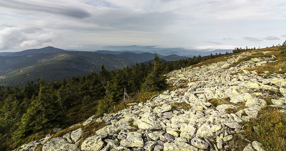 rocks, forest, trees, sky, clouds, stone, scenics - nature HD wallpaper