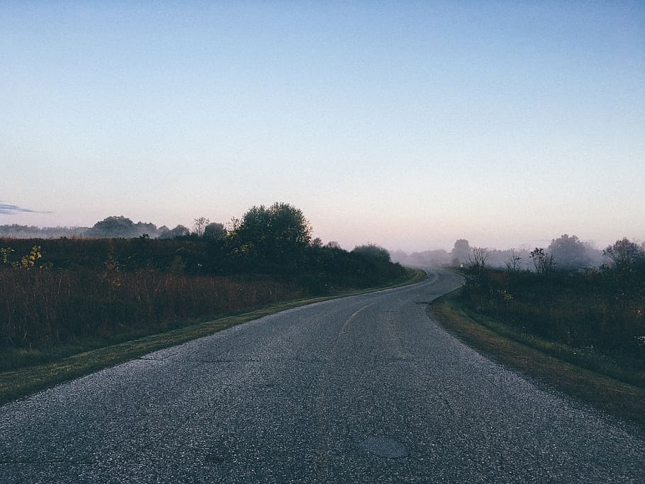 empty road between green leaf trees, lane, asphalt, country, street HD wallpaper