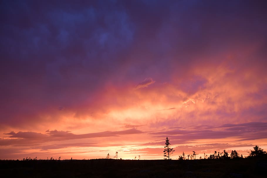 nature, outdoors, sky, sunset, dusk, red sky, dawn, sunlight HD wallpaper