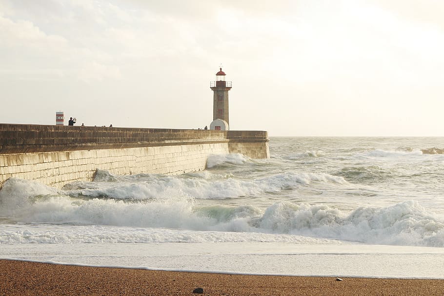Lighthouse and Body of Water, beach, coast, daylight, nature HD wallpaper