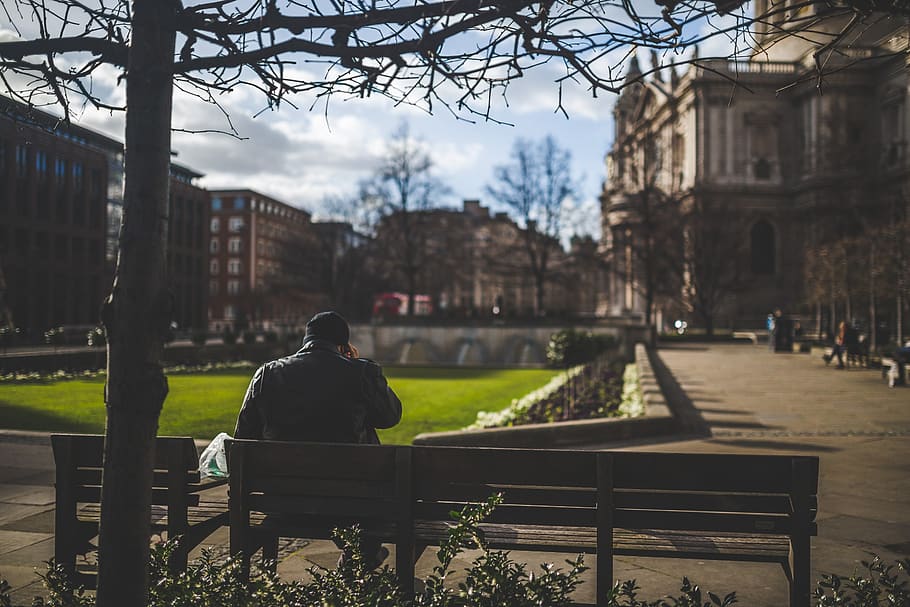 guy, sitting, park, bench, waiting, alone, building, tree, plants HD wallpaper