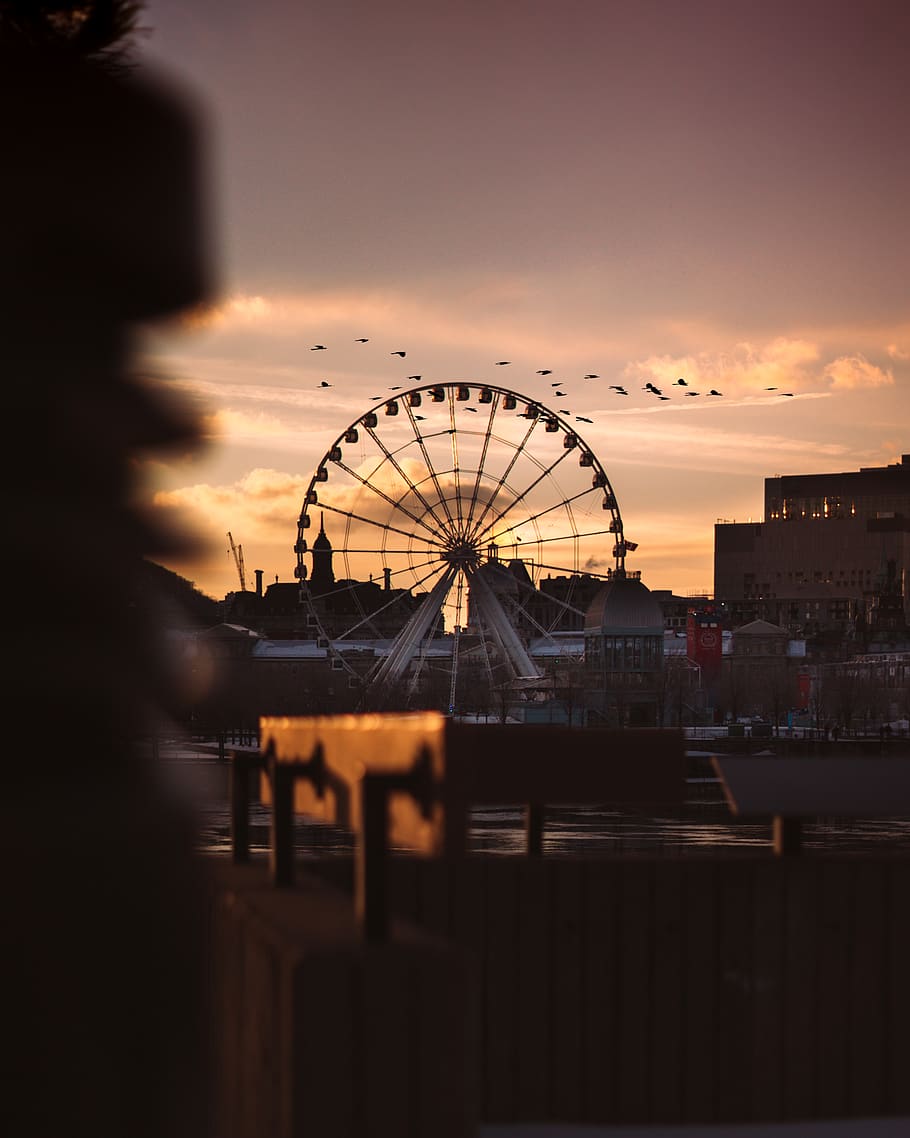 white ferris wheel under cloudy, silhouette, human, person, bird HD wallpaper