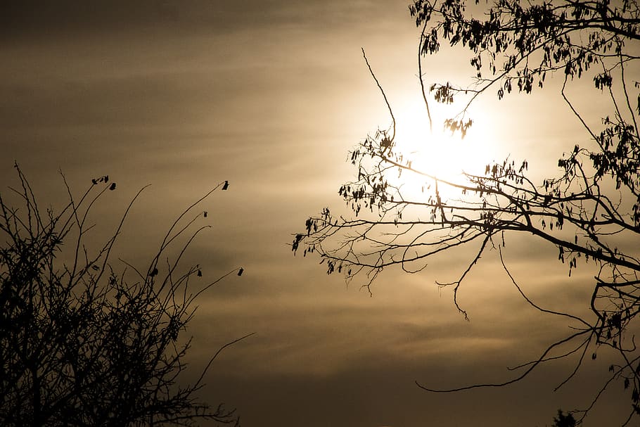 evening, sun, sky, twilight, in the evening, landscape, mood HD wallpaper