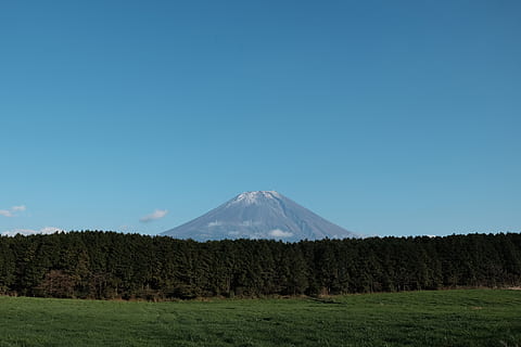 mountain, mt.fuji, trees, forest, japan, mountain fuji, light sky HD wallpaper