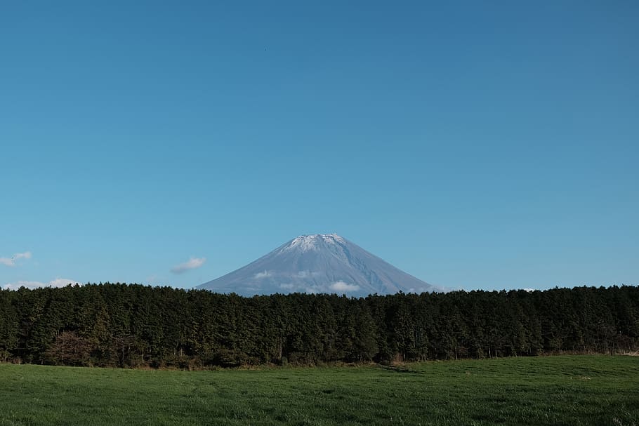 mountain, mt.fuji, trees, forest, japan, mountain fuji, light sky HD wallpaper