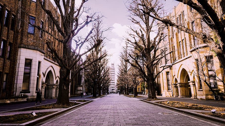 Hd Wallpaper Winter Japan University Of Tokyo Building