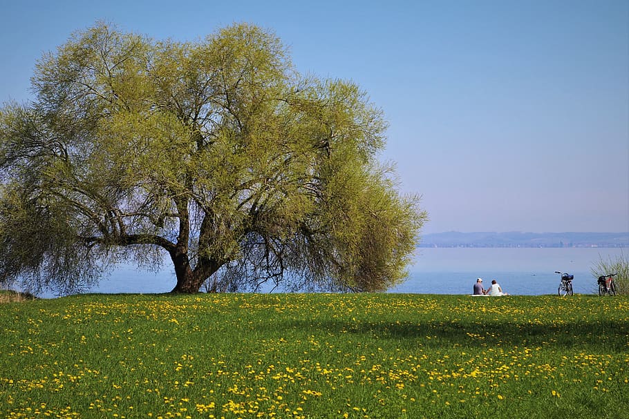 landscape, meadows, picnic, green, relaxation, the idyll, the silence HD wallpaper