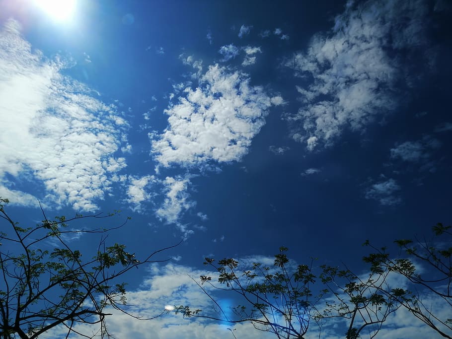 malaysia, selangor, blue sky, tree, cloudy, cloud - sky, beauty in nature, HD wallpaper