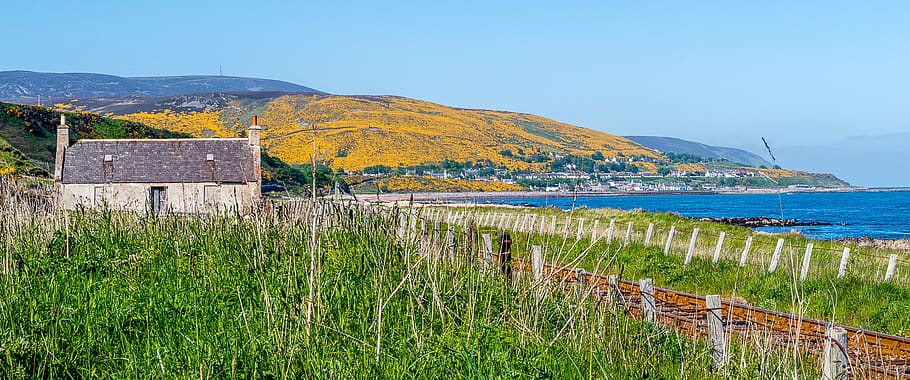 landscape, sea, gorse, yellow, rails, hut, house, water, nature HD wallpaper