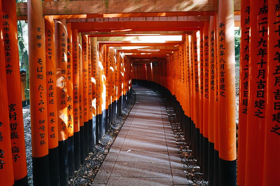 Shinto Shrine, book, architecture, building, corridor, temple HD wallpaper