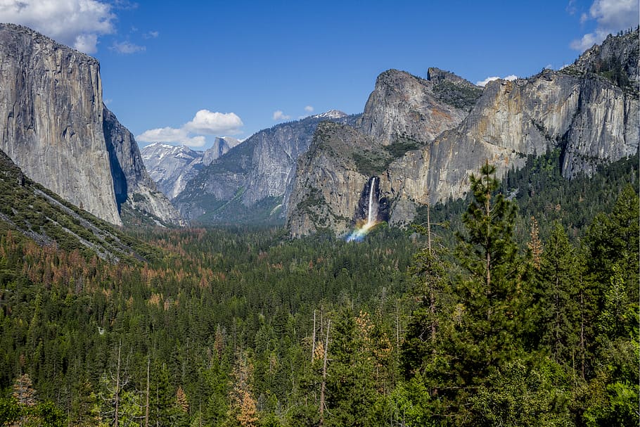 green pine trees under tall mountain, plant, nature, outdoors HD wallpaper