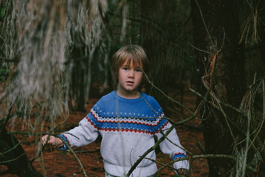 boy standing near tree, childhood, one person, front view, real people HD wallpaper