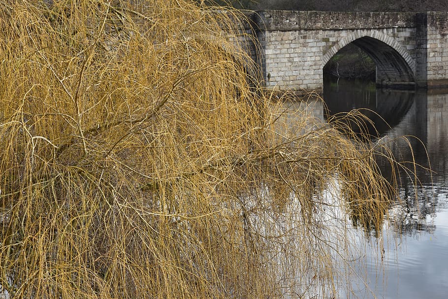 landscape, reflection, tree, willow, bridge, water, limoges HD wallpaper