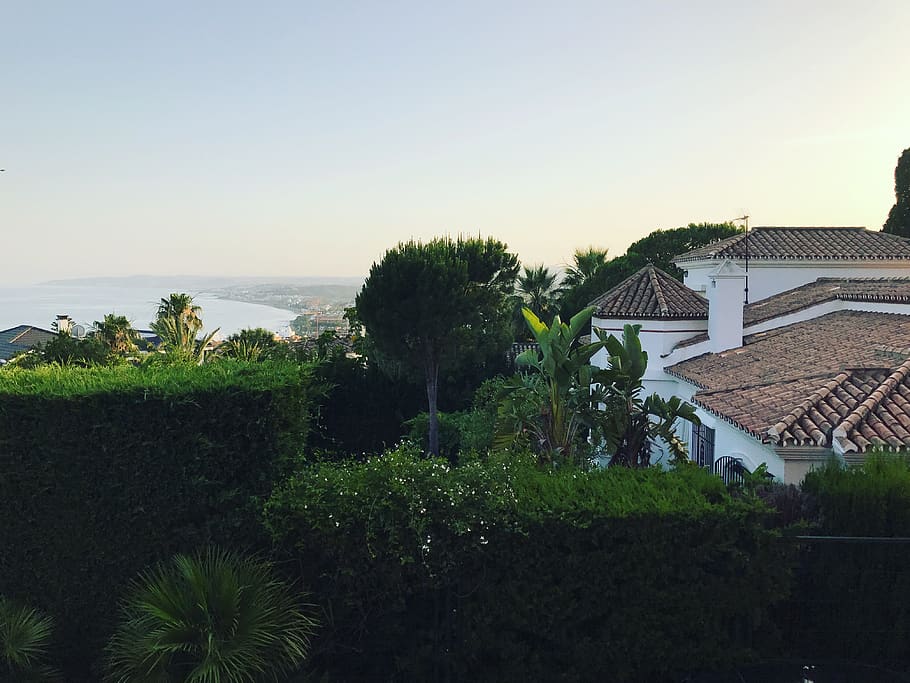 spain, málaga, trees, malaga, houses, view, plant, architecture HD wallpaper