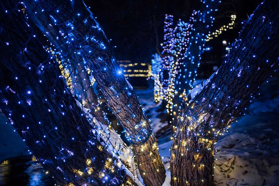 united states, boulder, illuminated, night, decoration, celebration HD wallpaper