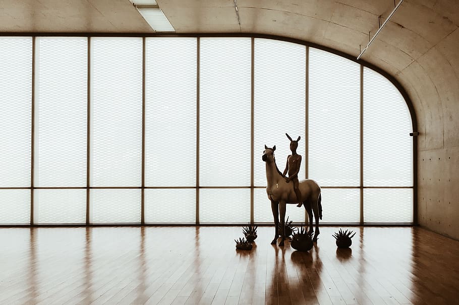 中国, 上海市, indoors, mammal, flooring, architecture HD wallpaper