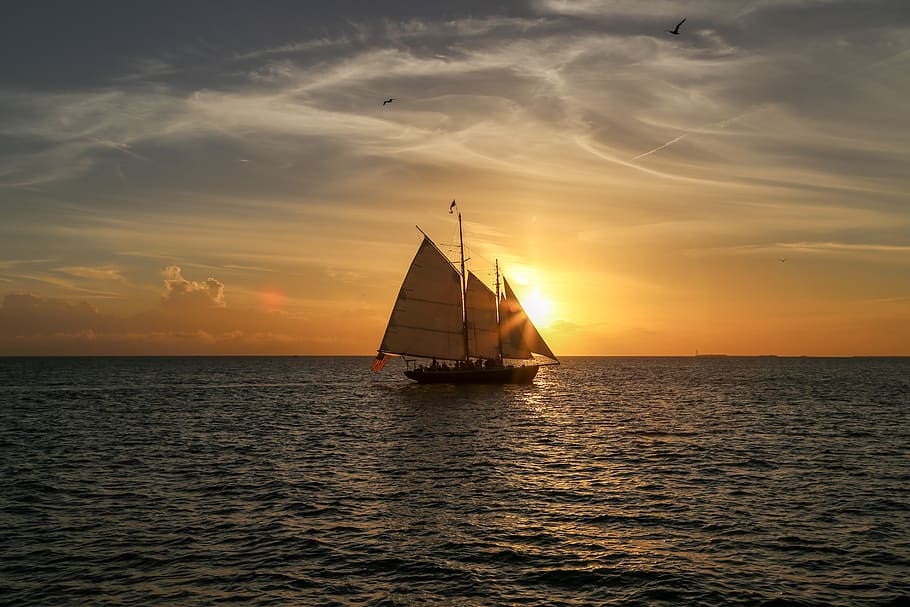 gray sailboat sailing, sea, water, sunset, sky, nautical vessel HD wallpaper