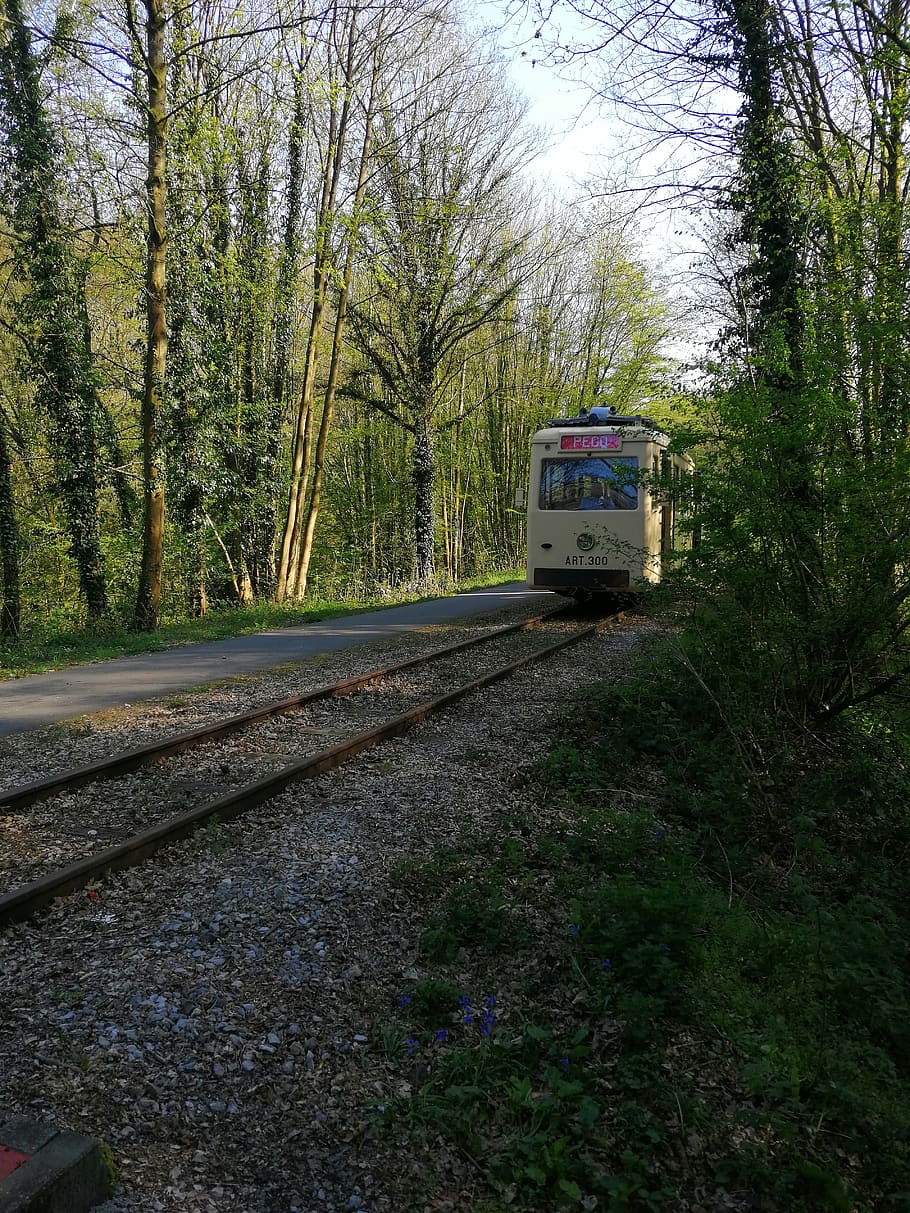 tram, antique, rails, vicinal, thuin, transport, tourist, tree HD wallpaper