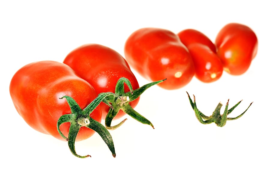 tomatoes, close-up, closeup, diet, dieting, eating, food, fresh HD wallpaper