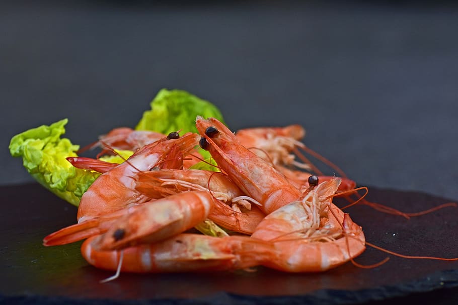 shrimp, cooked, unpeeled, food and drink, freshness, crustacean HD wallpaper