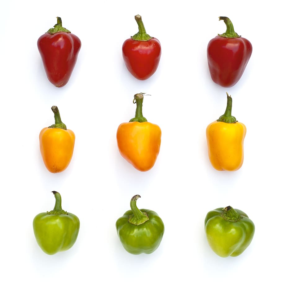 peppers, vegetable, red, yellow, green, fresh, ingredients HD wallpaper