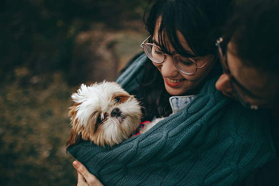 Selective Focus Photography of White and Tan Shih Tzu Puppy Carrying by Smiling Woman, HD wallpaper