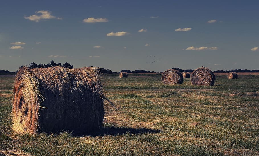 field, bale, straw, sky, landscape, hay, rural, clouds, grass HD wallpaper