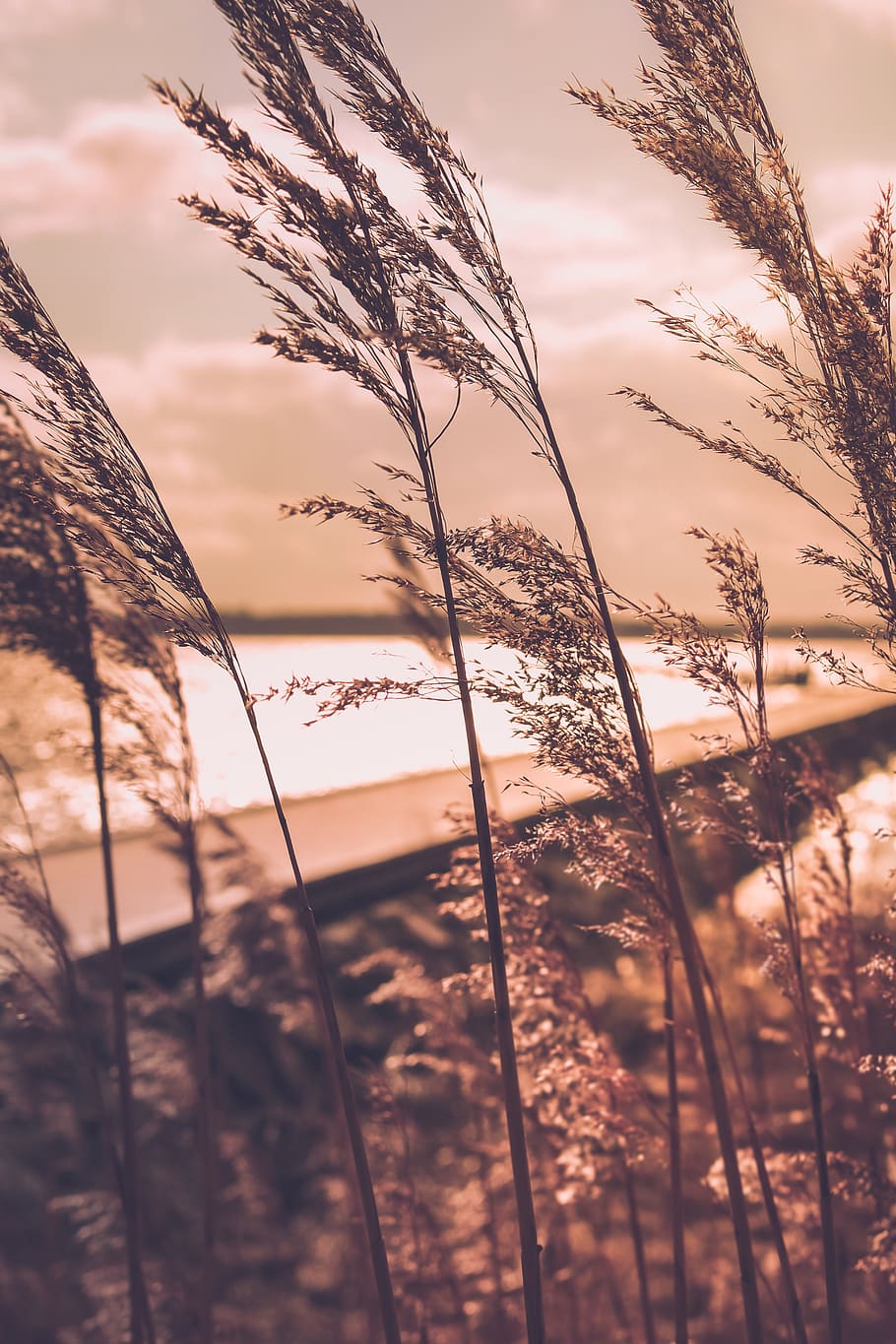 sun, sky, water, beach, brown, closeup, bridge, color, wind HD wallpaper