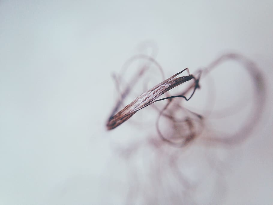 westerbork, macro, shot, iphone, minimal, white, clean, minimalistic HD wallpaper