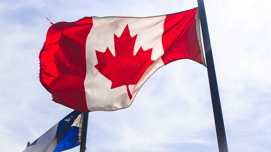 Canada flag waving during daytime, red, patriotism, environment HD wallpaper