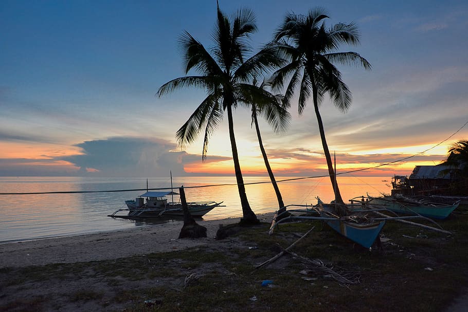 palm, ship, sunset, beach, sea, romantic, cloud, philippines HD wallpaper