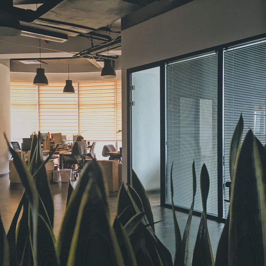 work, office, company, studio, space, contrast, indoors, window HD wallpaper