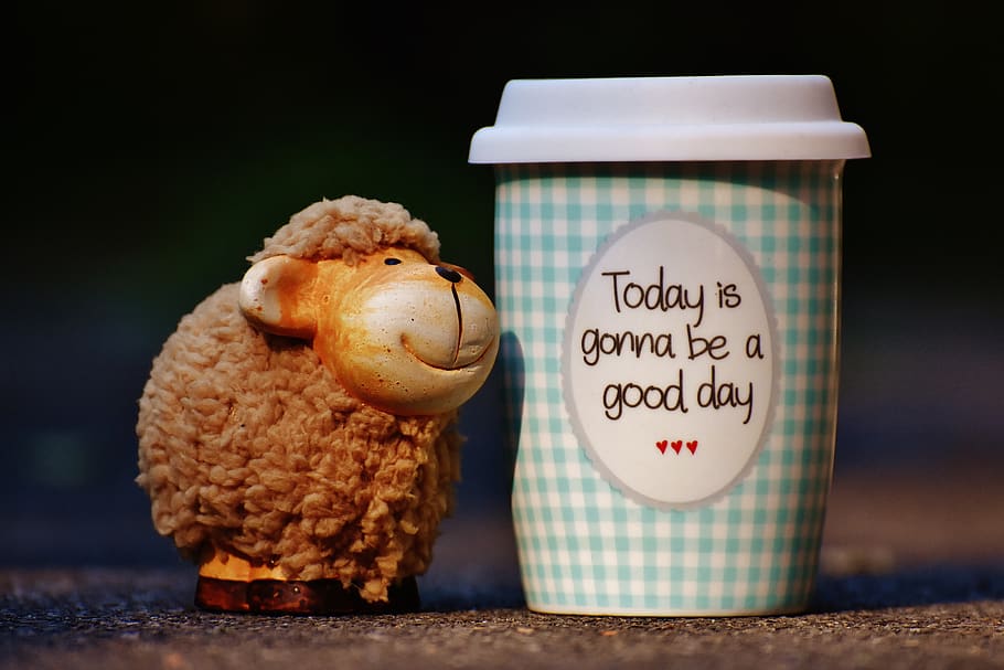 Brown Sheep Plush Toy Near Tumbler, cheerful, close-up, coffee HD wallpaper