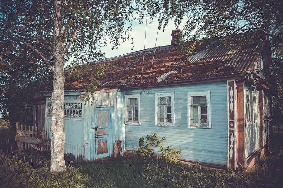 Photo of Teal Wooden Cottage Under Trees, cabin, wooden house HD wallpaper