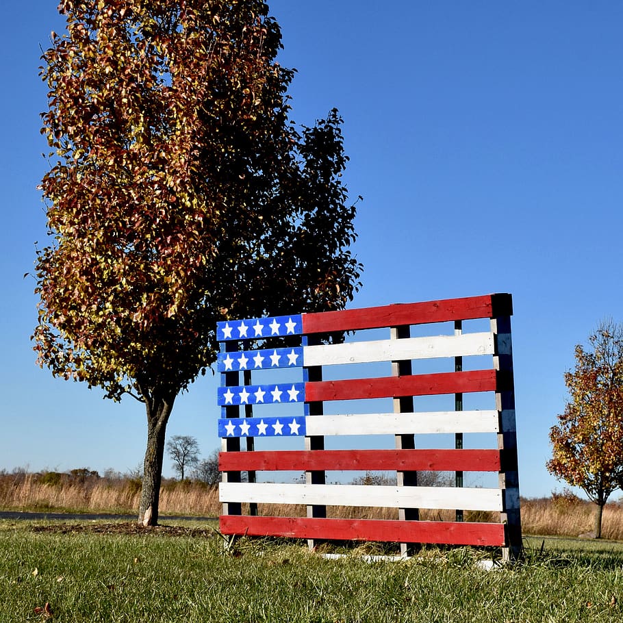 american flag, plant, patriotism, nature, tree, field, sky HD wallpaper