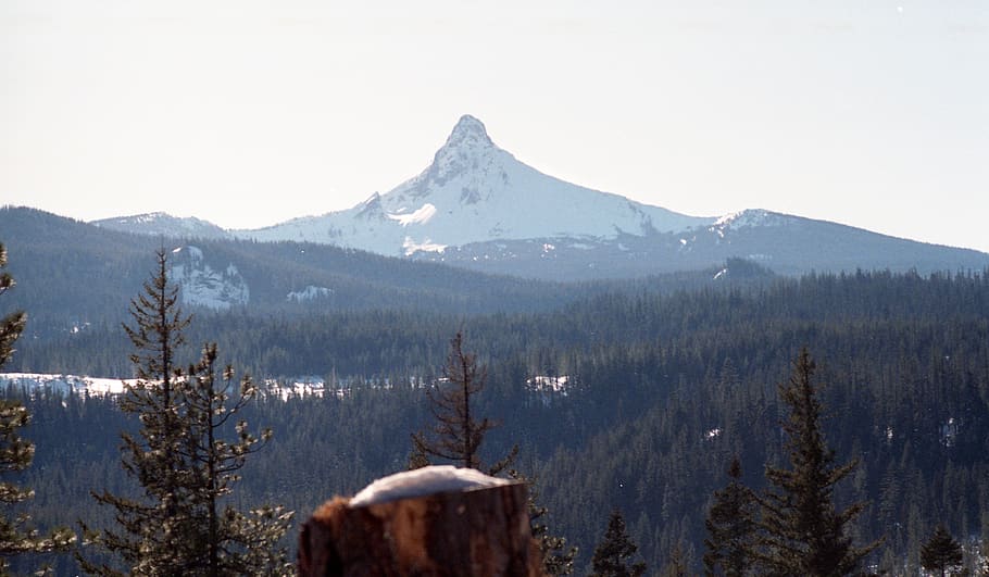mountains, forest, trees, lake, water, sun, snow, scenics - nature HD wallpaper