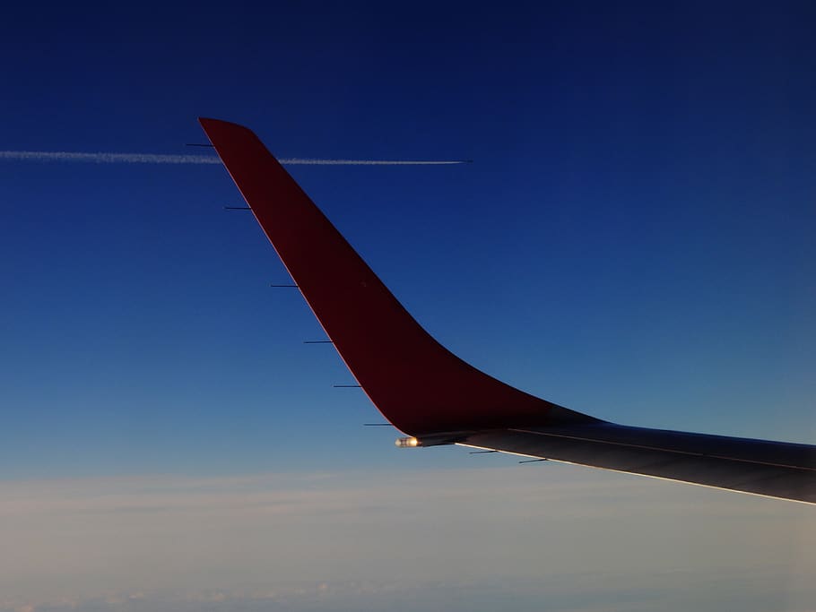 flight, flying, planes, blue, dark blue, sky, red, wing, air vehicle HD wallpaper