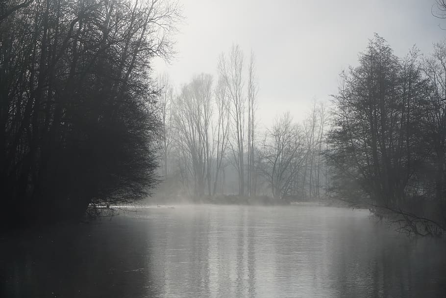 pond, winter, cold, landscape, lake, tree, plant, water, tranquility HD wallpaper