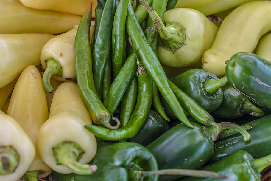 peppers, farmers market, open air, green, agriculture, produce, HD wallpaper
