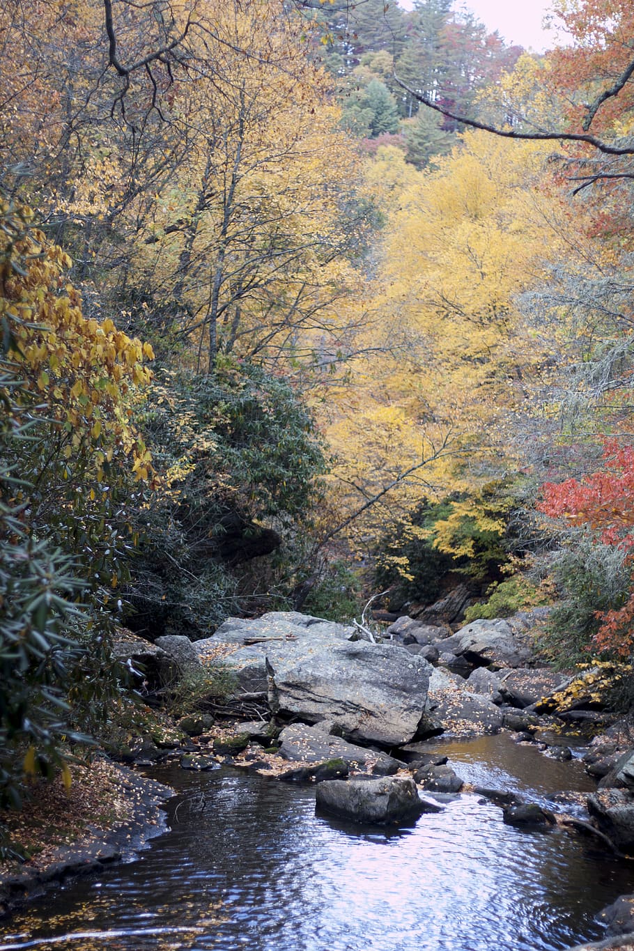 trees, forest, fall, outside, river, lake, water, waterfall HD wallpaper
