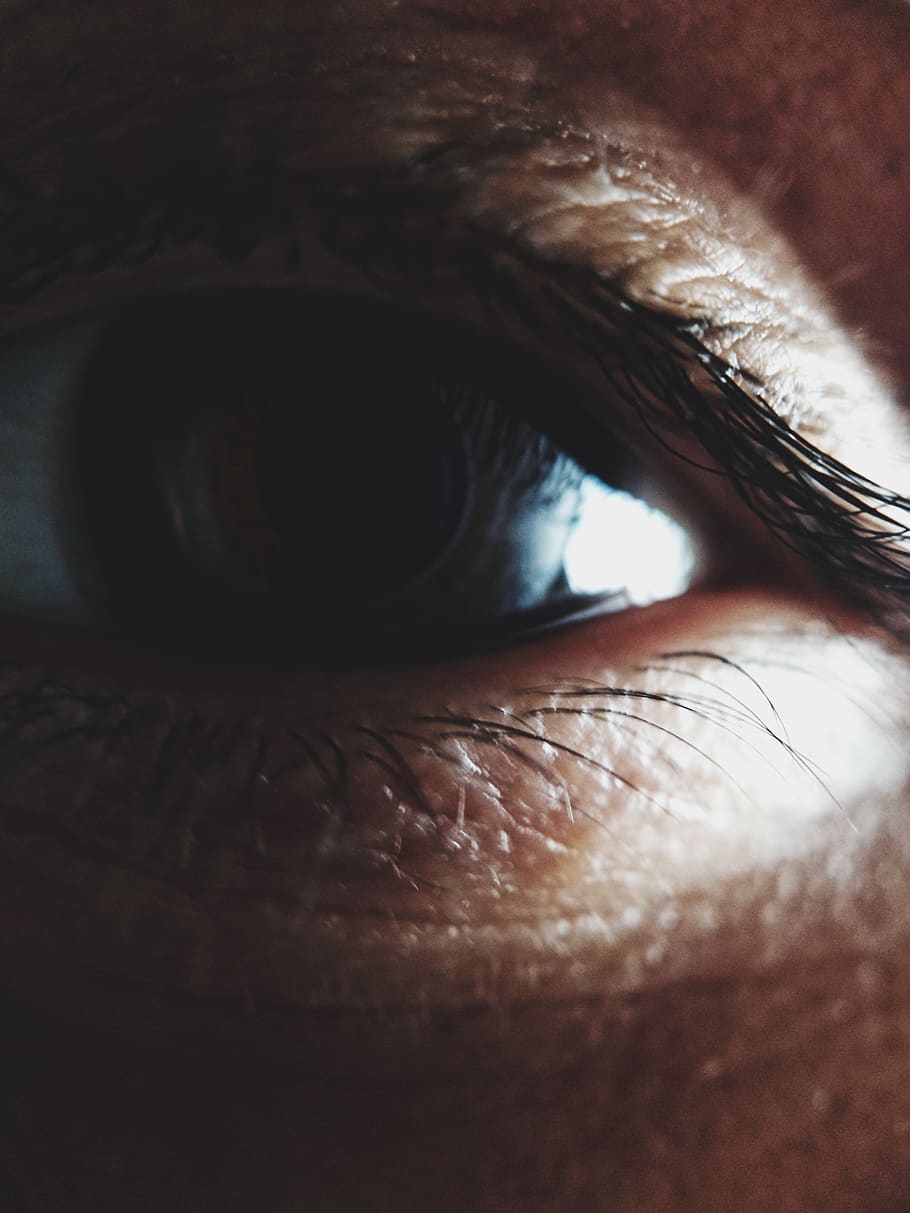 eye, eyes, body, human eye, sensory perception, eyelash, eyesight HD wallpaper