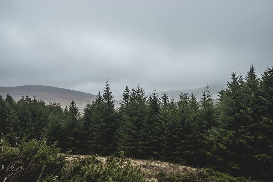 ireland, laragh, wicklow mountains national park, clouds, cloudy