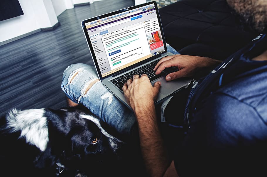 Man Sitting While Using Laptop Inside House, adult, connection, HD wallpaper