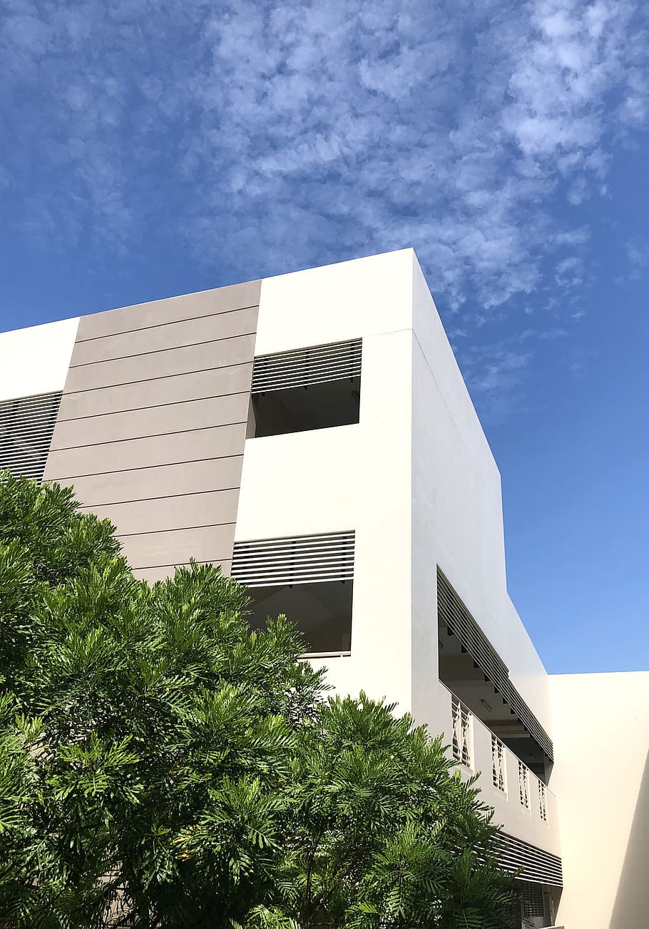 building, office building, plant, vegetation, bush, architecture HD wallpaper