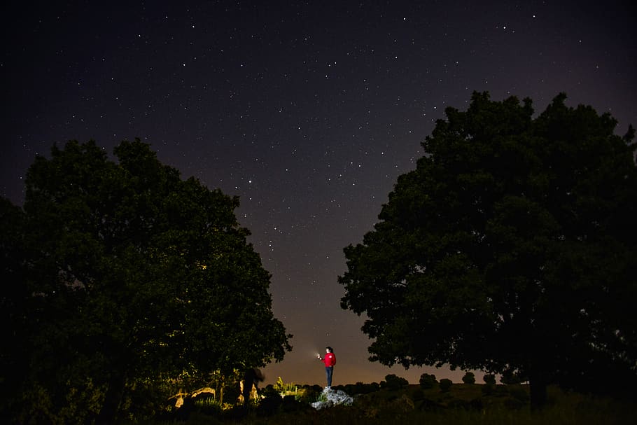 Person Standing Between Two Trees during Night Time, astronomy HD wallpaper