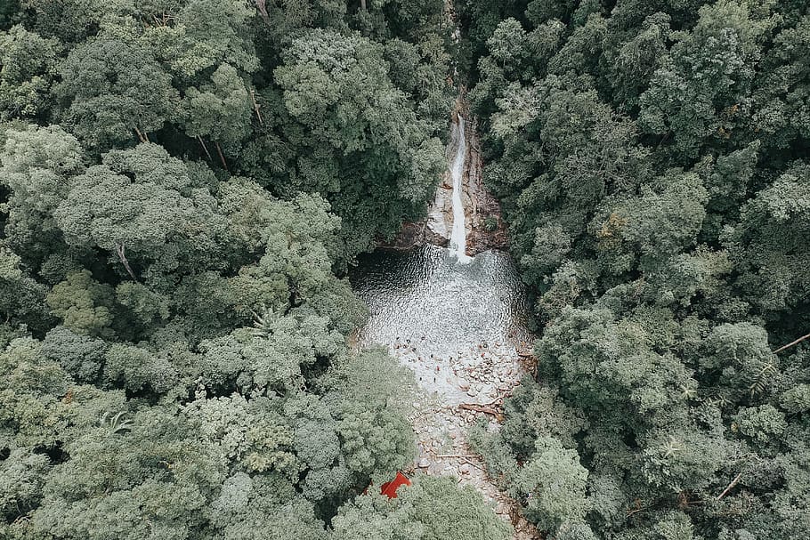 Bird's-eye View Photography Waterfalls Surrounded by Trees, beautiful HD wallpaper