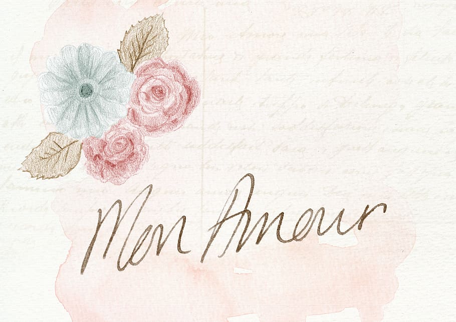 writing, french, language, graphics, text, communication, flower HD wallpaper