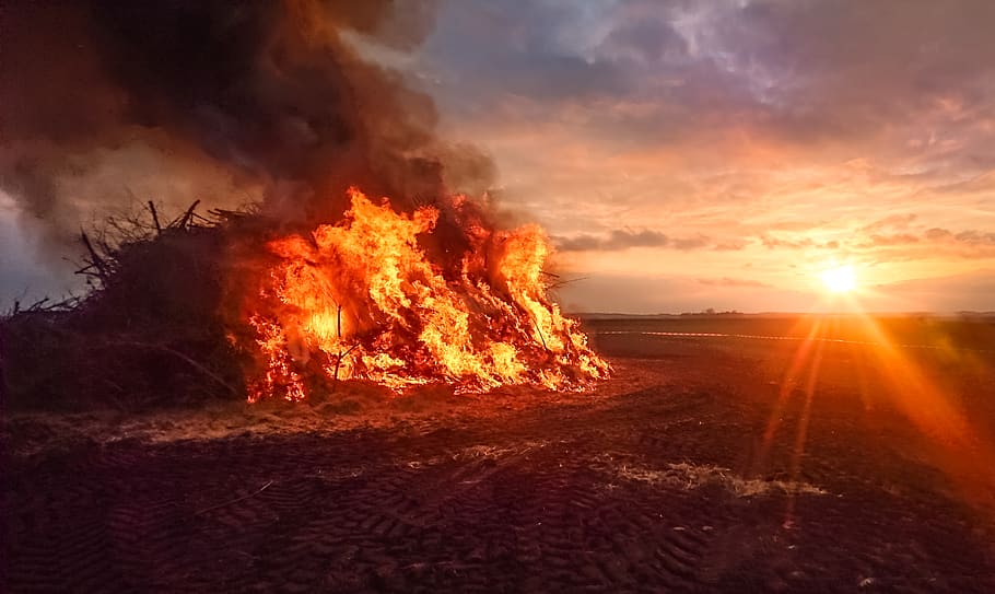 Bonfire during Sunset, blaze, burning, calamity, celebrate, dawn, HD wallpaper
