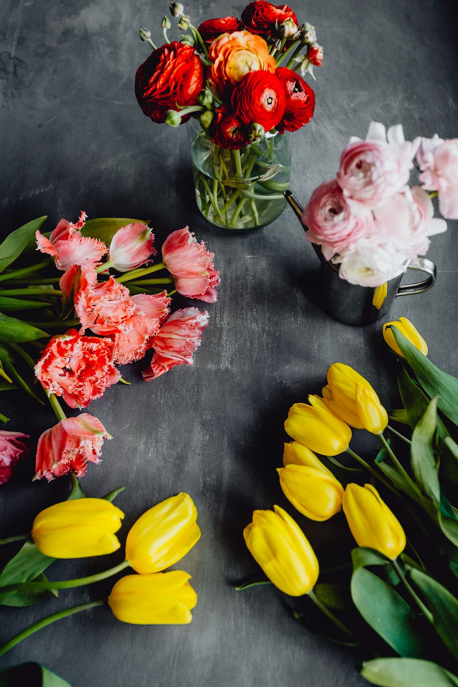 Colorful flowers on grey background with copy space, bloom, floral HD wallpaper